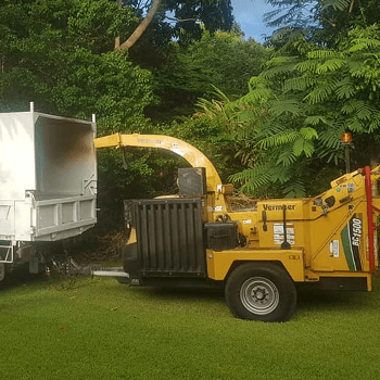 byron shire tree services