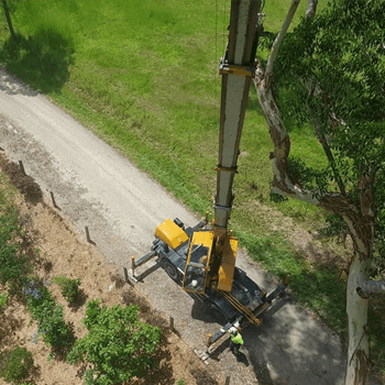 murwillumbah tree removal
