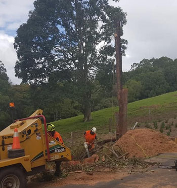 tweed valley tree lopping