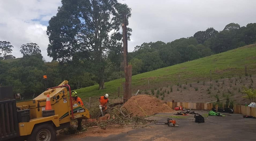 mulching & site cleanup in Byron Bay