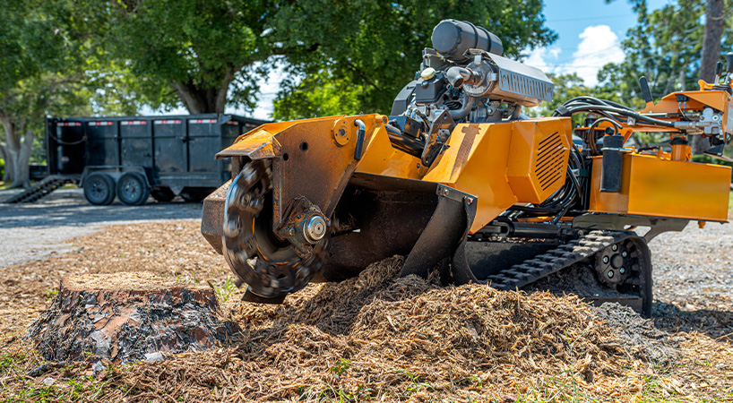 stump grinding